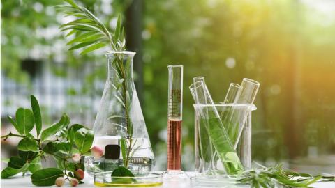 HERBAL PRODUCTS TESTING